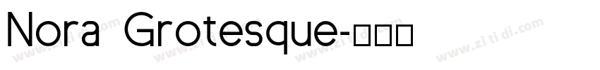 Nora Grotesque字体转换